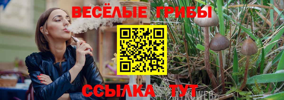 Псилоцибиновые грибы мухоморы Богородск
